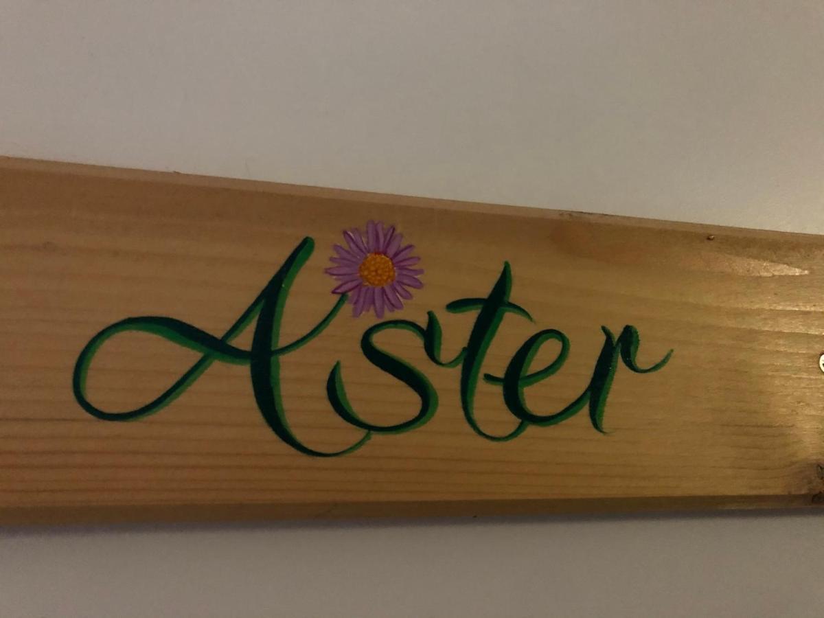 Aster Residence Laureane 1Er Etage Cauterets Ngoại thất bức ảnh